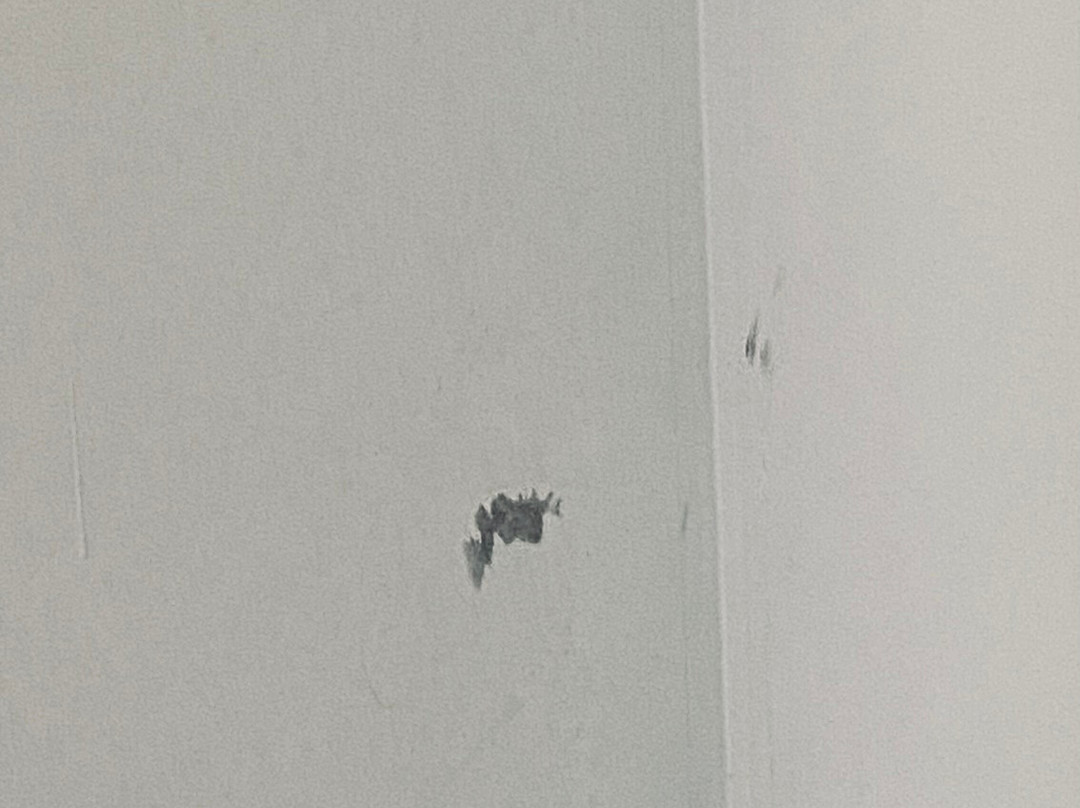 皇宫大酒店主图