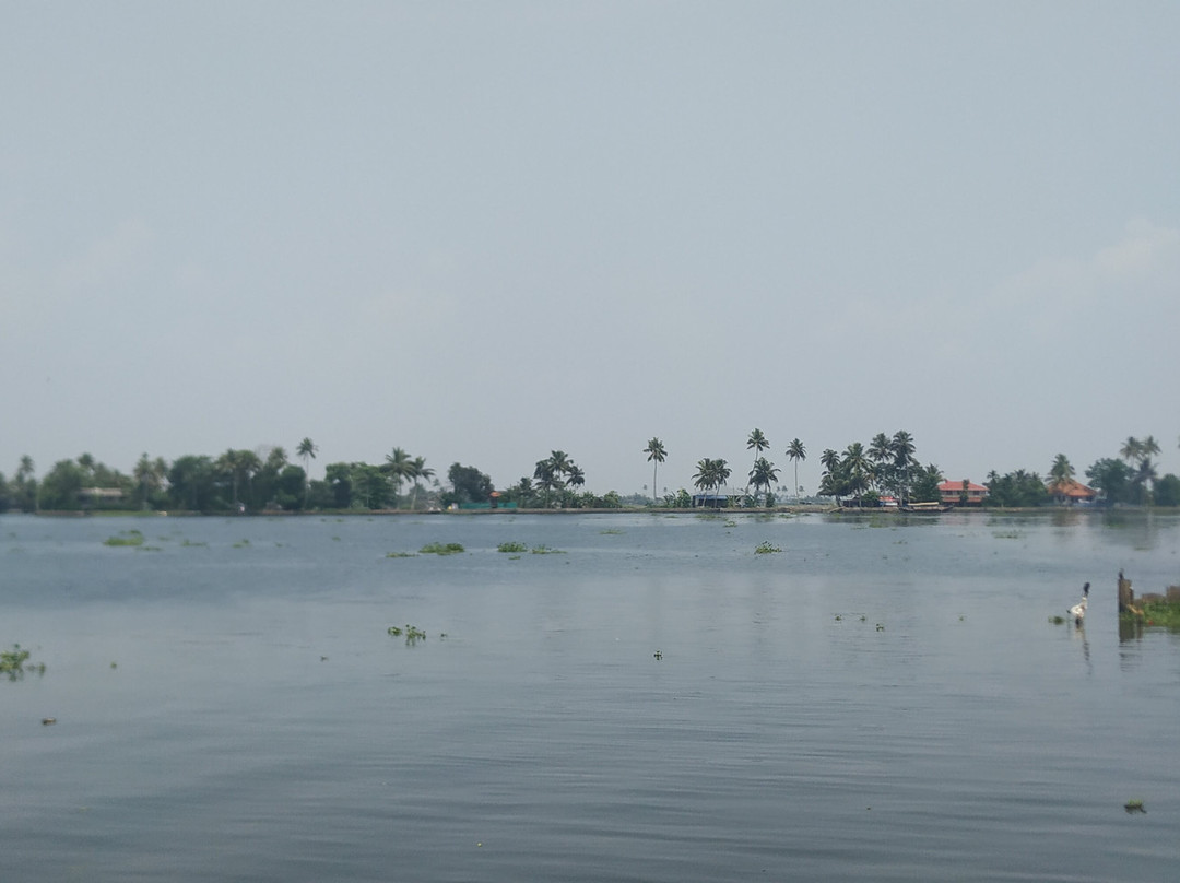 Alleppey Backwater Cruises景点图片