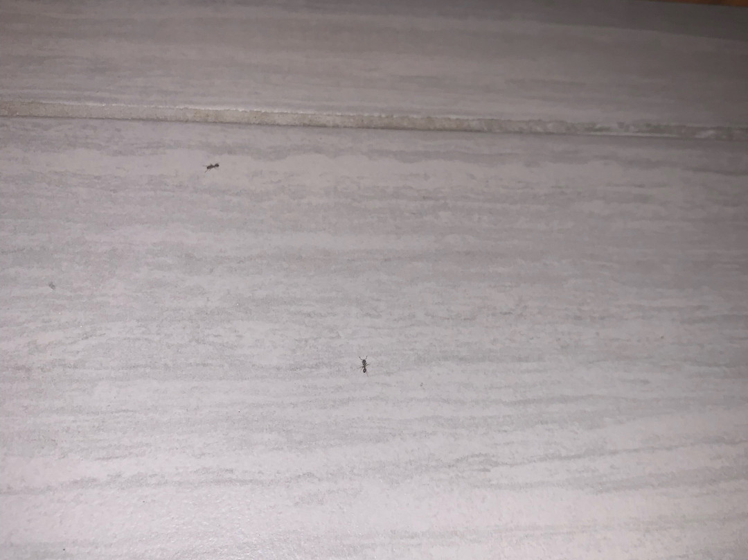 Home2 Suites by Hilton Minneapolis Bloomington主图