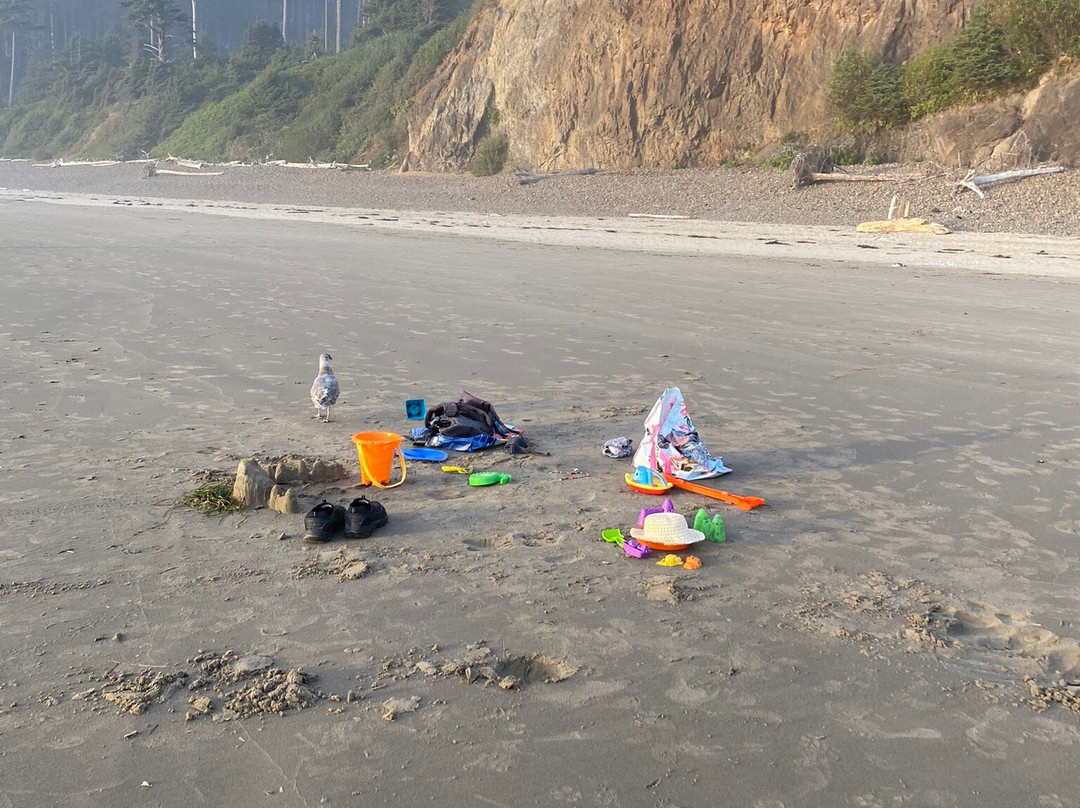 Indian Beach-坎农比奇必去景点