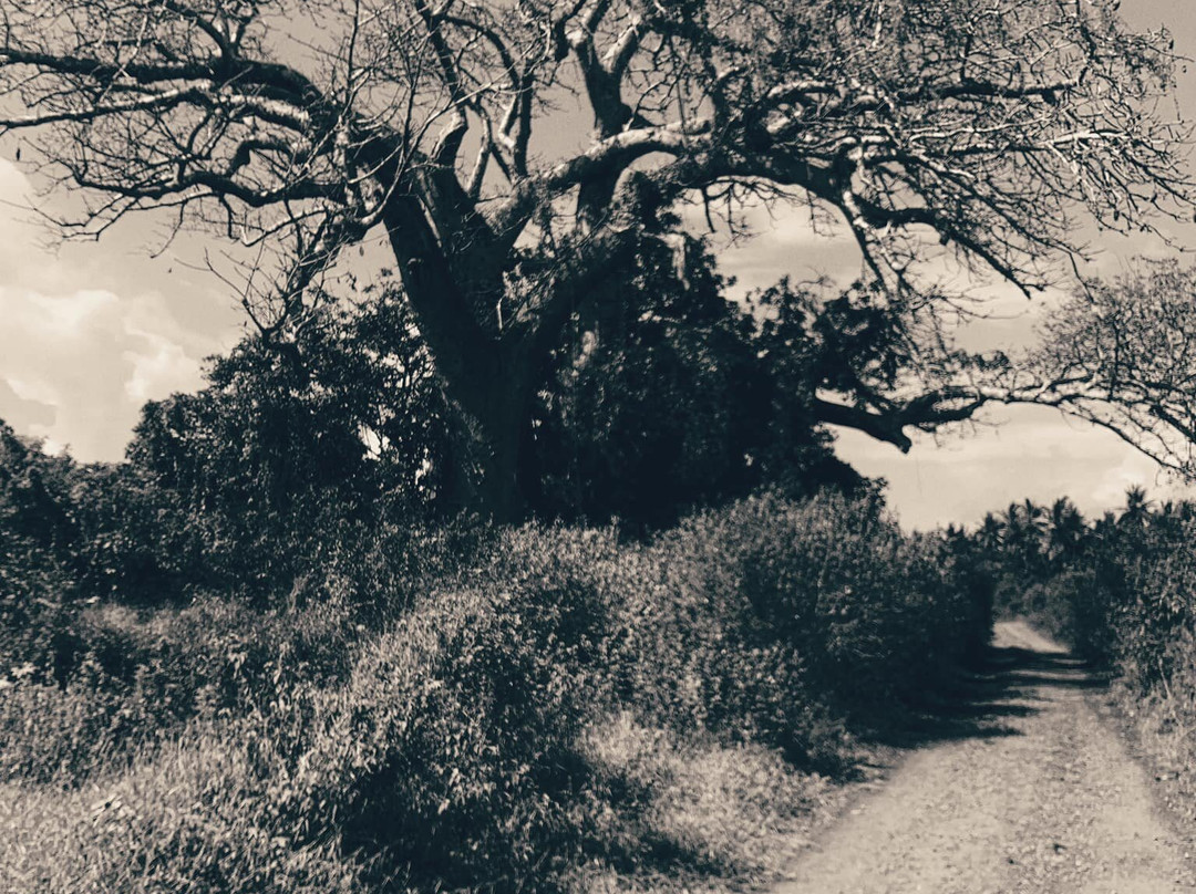 Fish Eagle Point主图