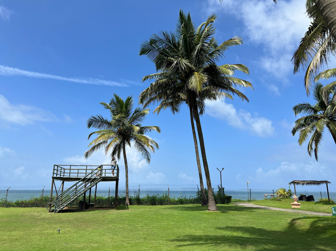 泰姬珍品度假村主图