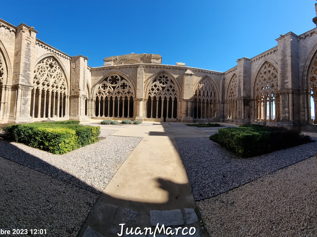 La Catedral Vieja景点图片