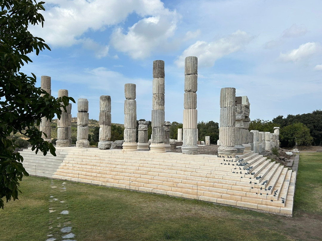 Apollon Symintheion Ruins景点图片