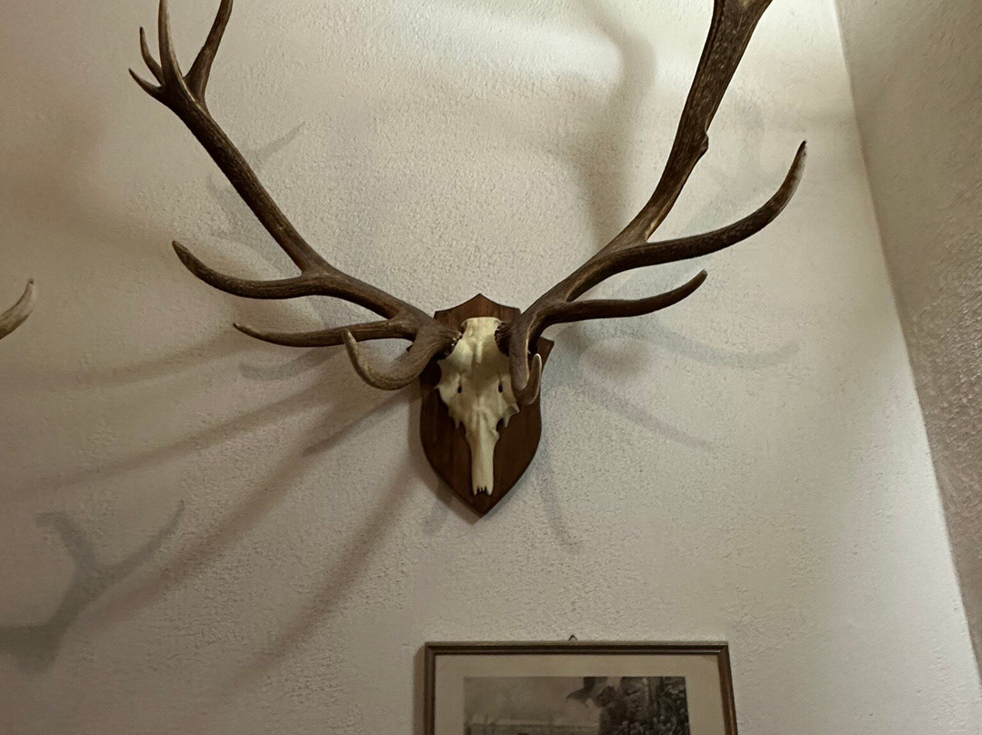 Hotel Aichinger主图