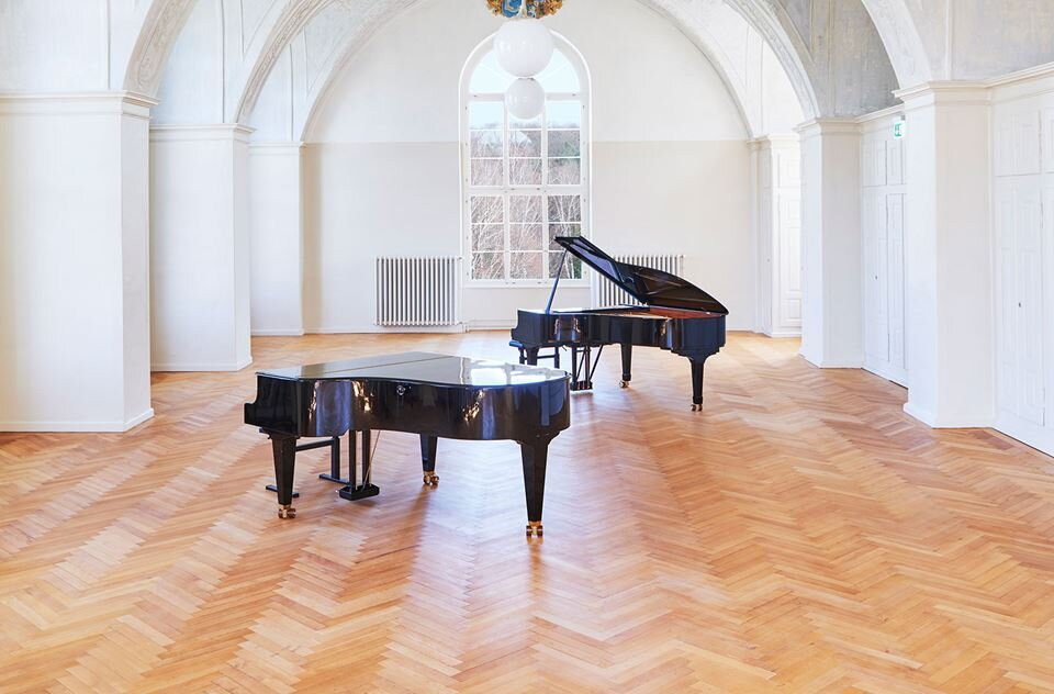 Musikinsel Rheinau
