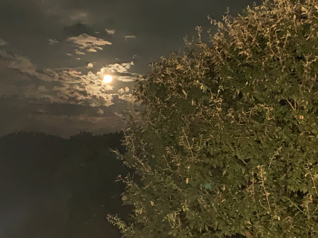 The Green Village Eco Resort主图