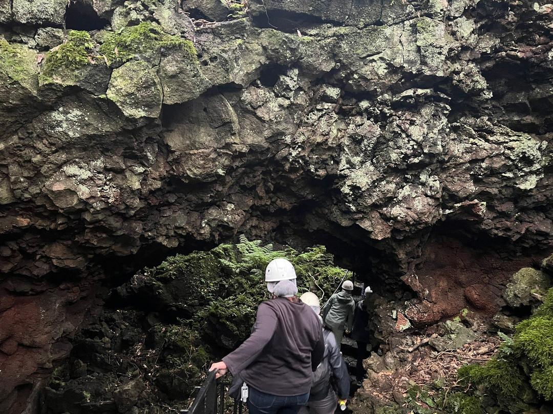 Terralta Nature Tours-Sao Roque do Pico必去景点