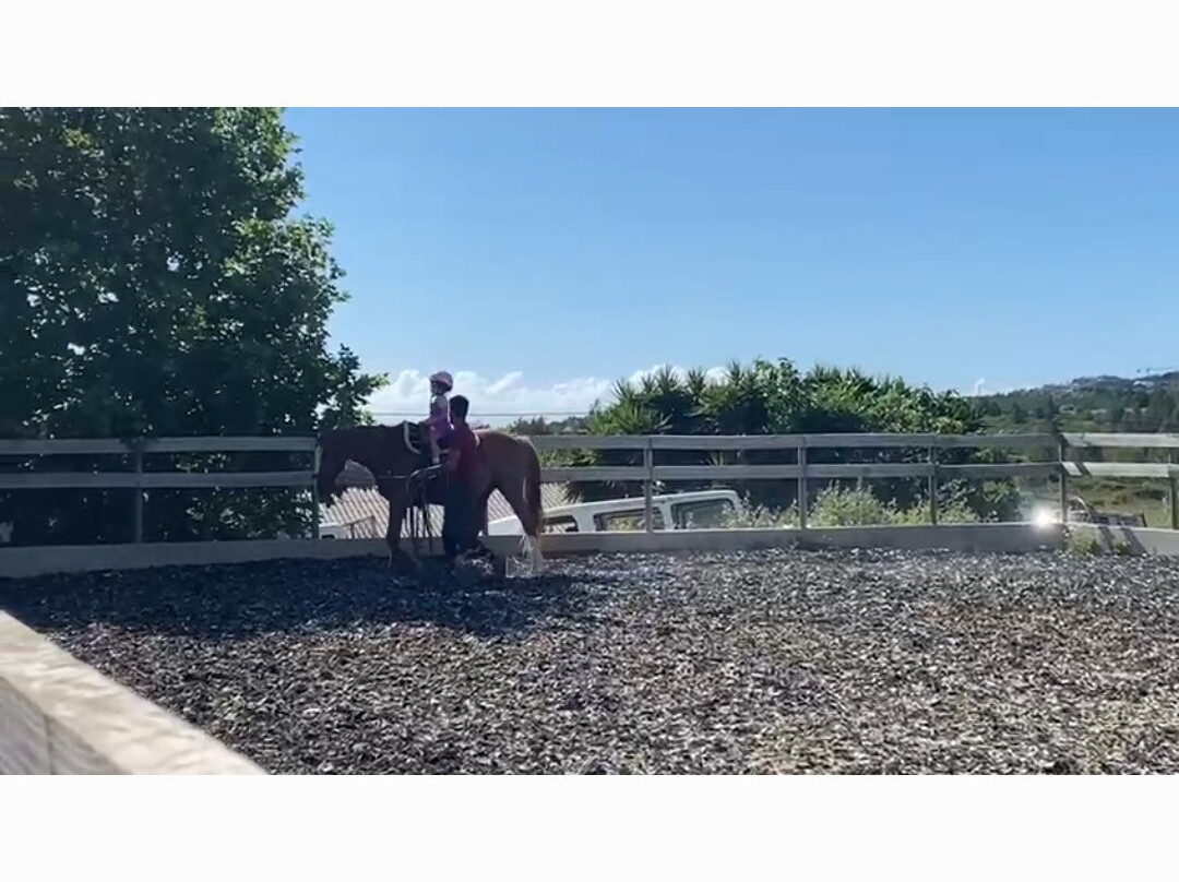 Equi Cascais-卡斯凯什必去景点