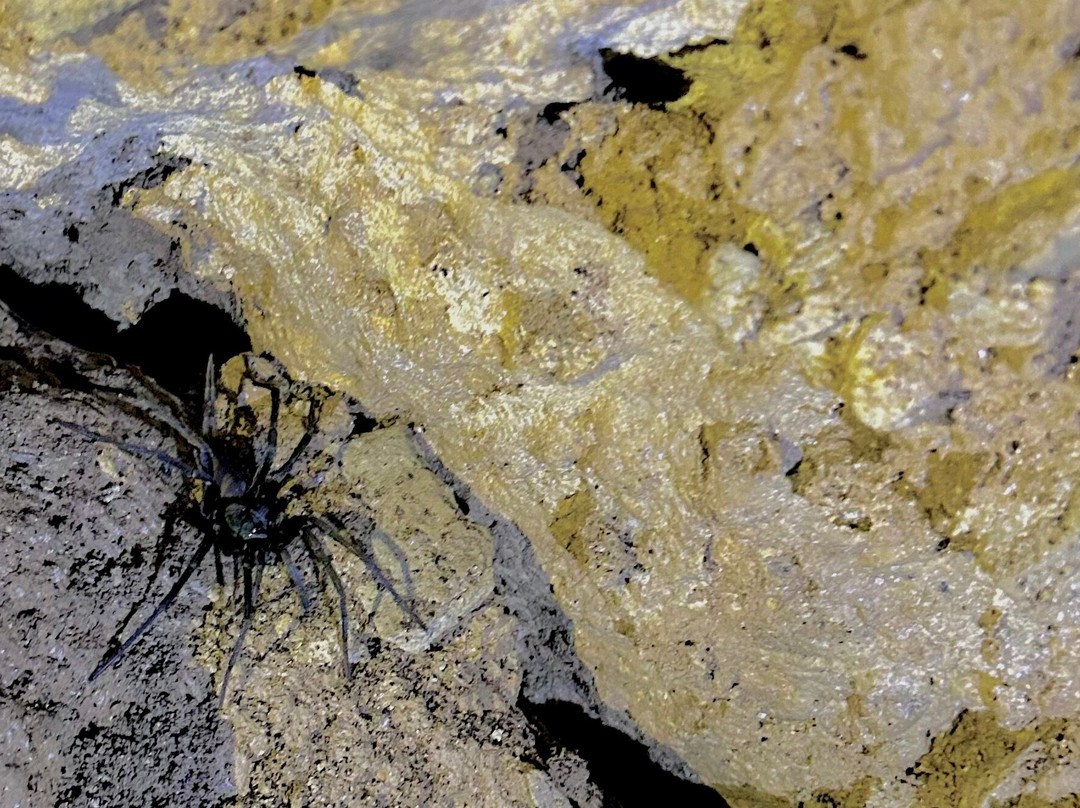 Toglo Cave-Tena必去景点