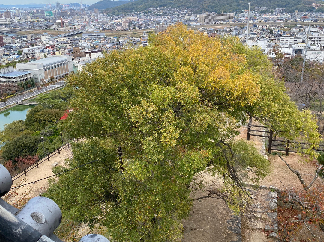 Marugame Castle-丸龟市必去景点