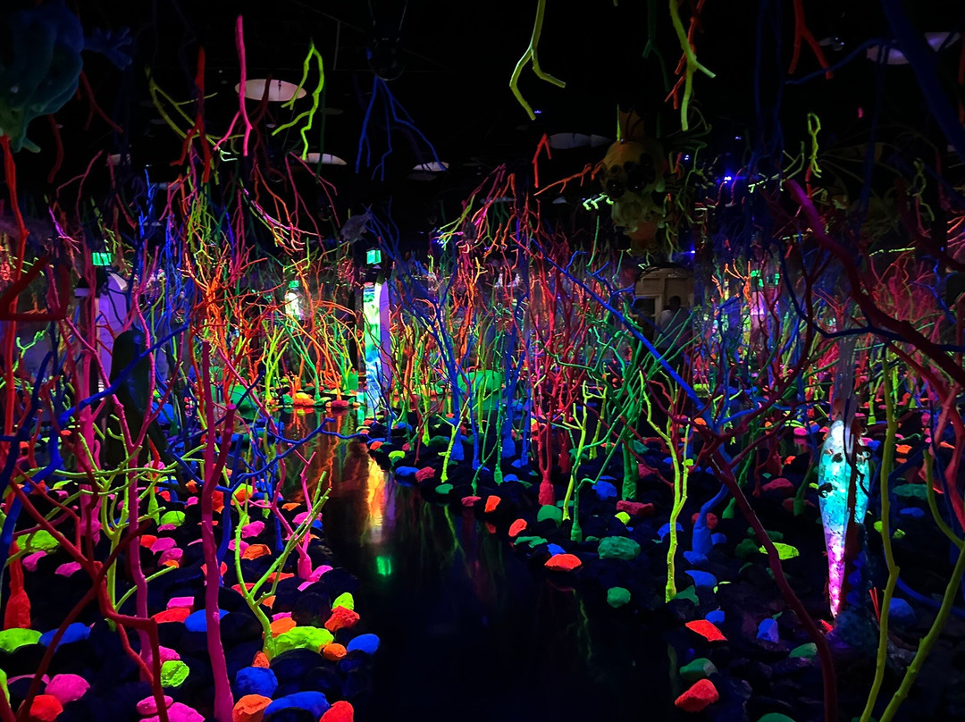 Meow Wolf's The Real Unreal景点图片