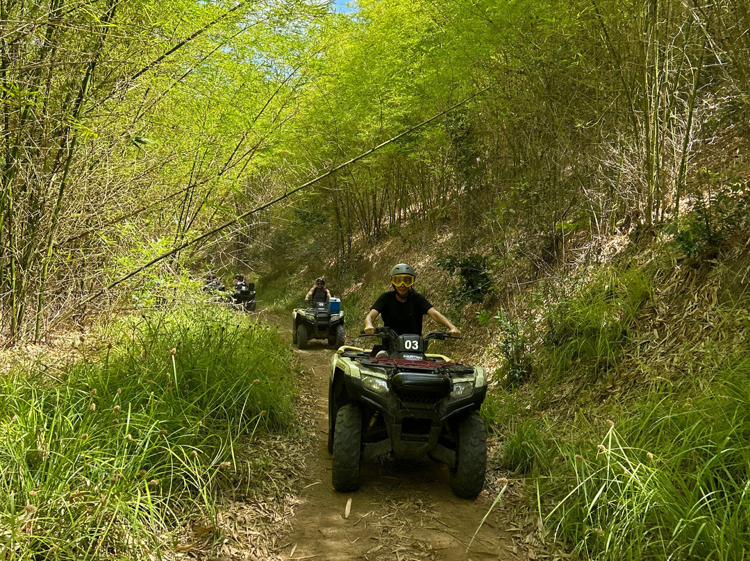 Goiana eco trilha-Goiana必去景点