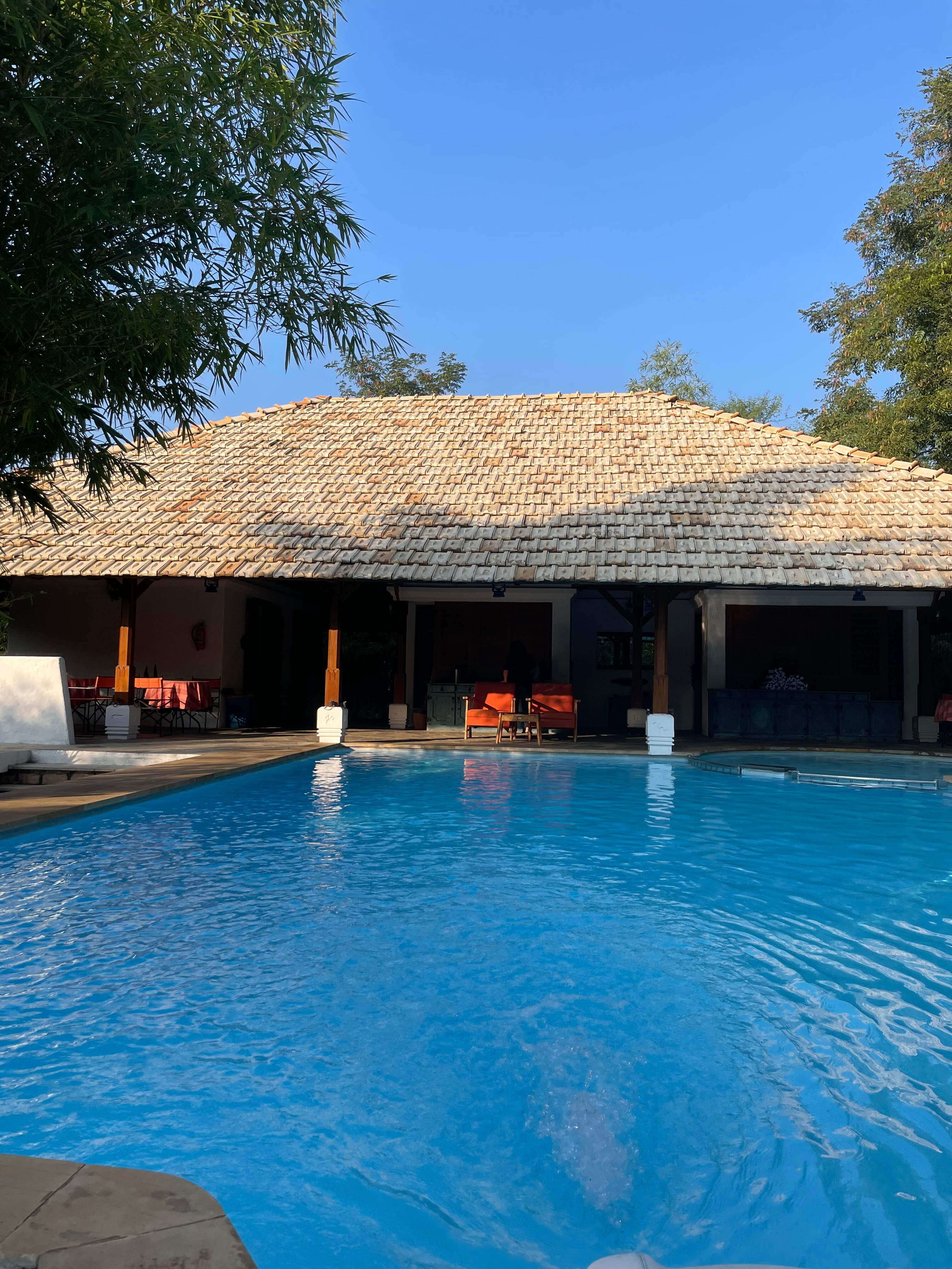 Svasara Jungle Lodge at Tadoba-泳池