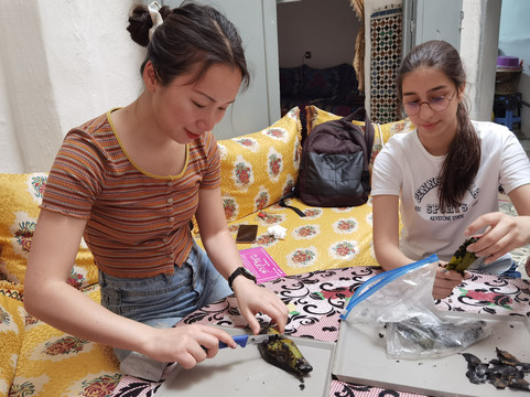 Morocco Travel Organizer-非斯必去景点