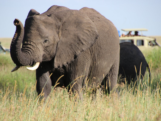 Matukio Adventures Tanzania-阿鲁沙必去景点