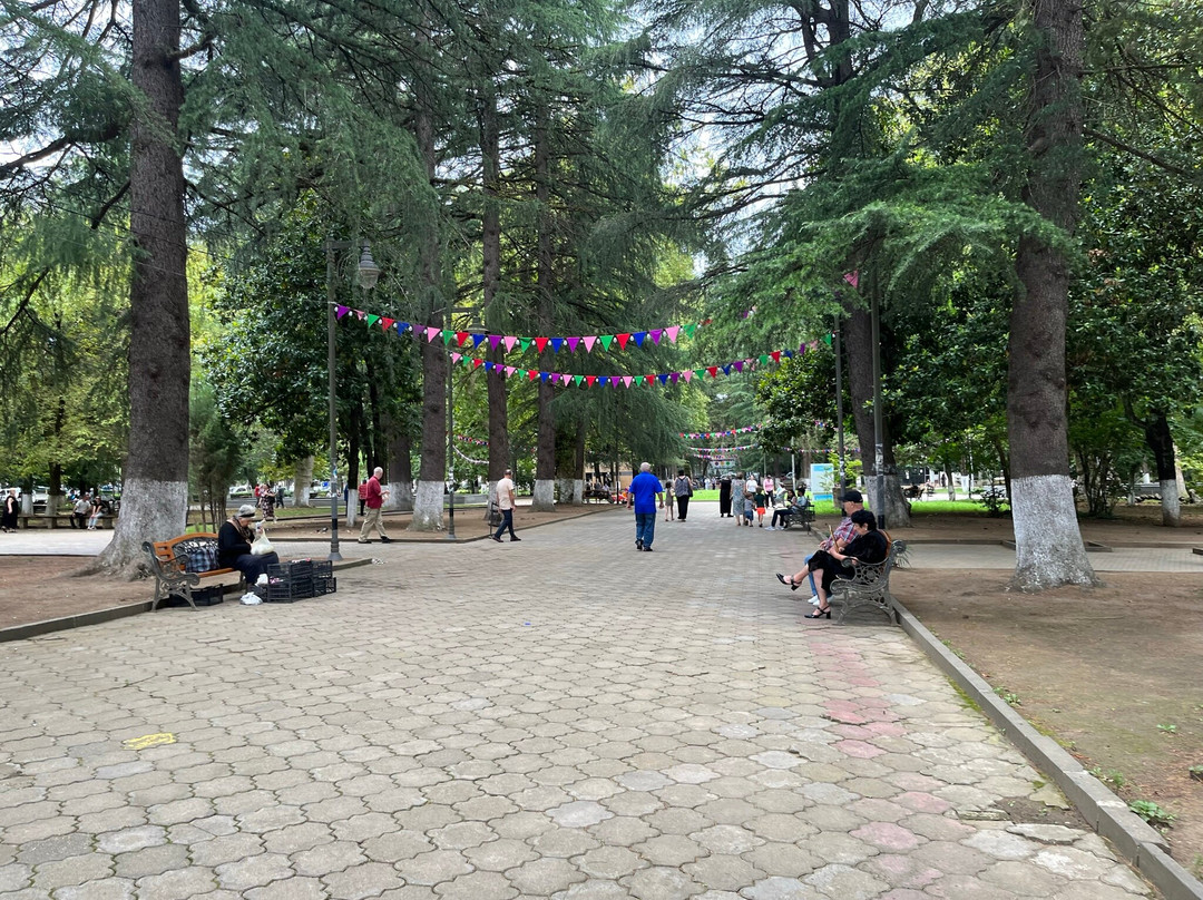 Central City Park景点图片