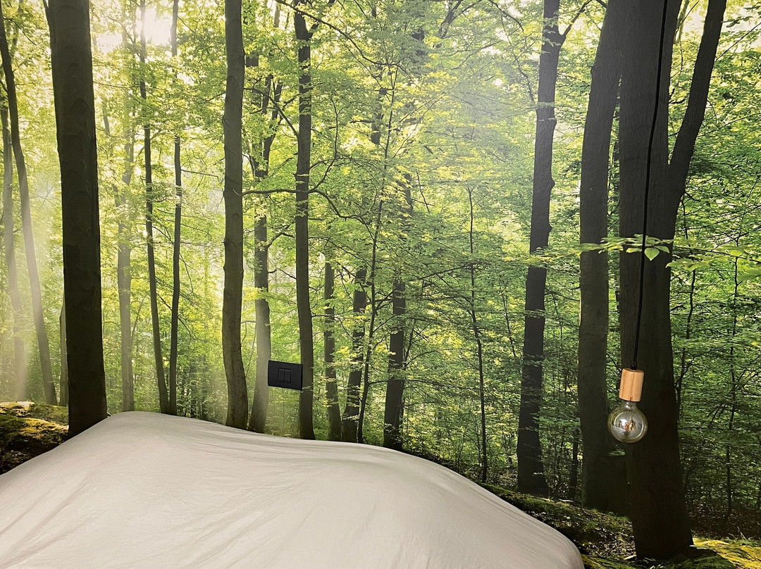 Antares Bed and Breakfast主图