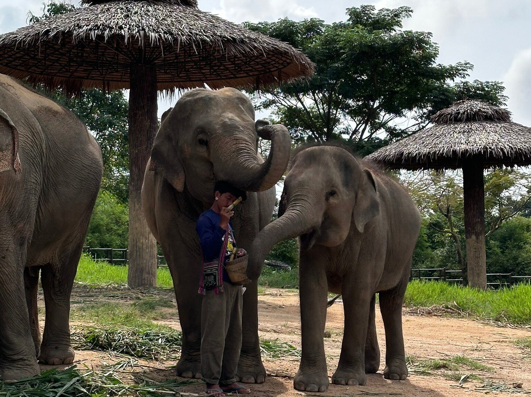 Samui Elephant Kingdom景点图片
