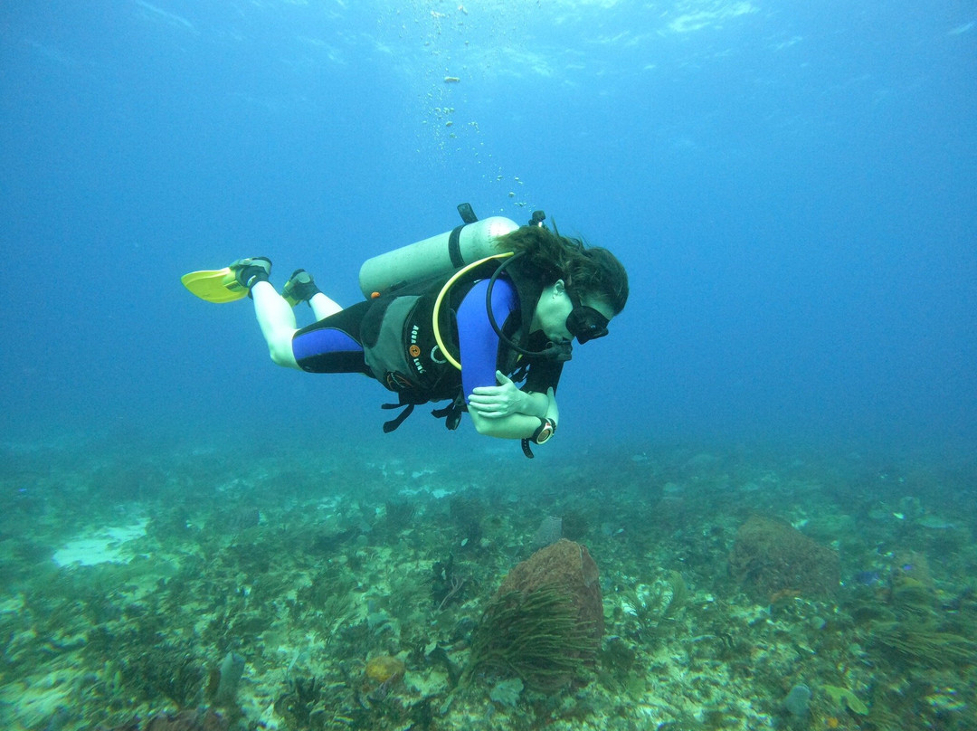 Cancun Diving College景点图片