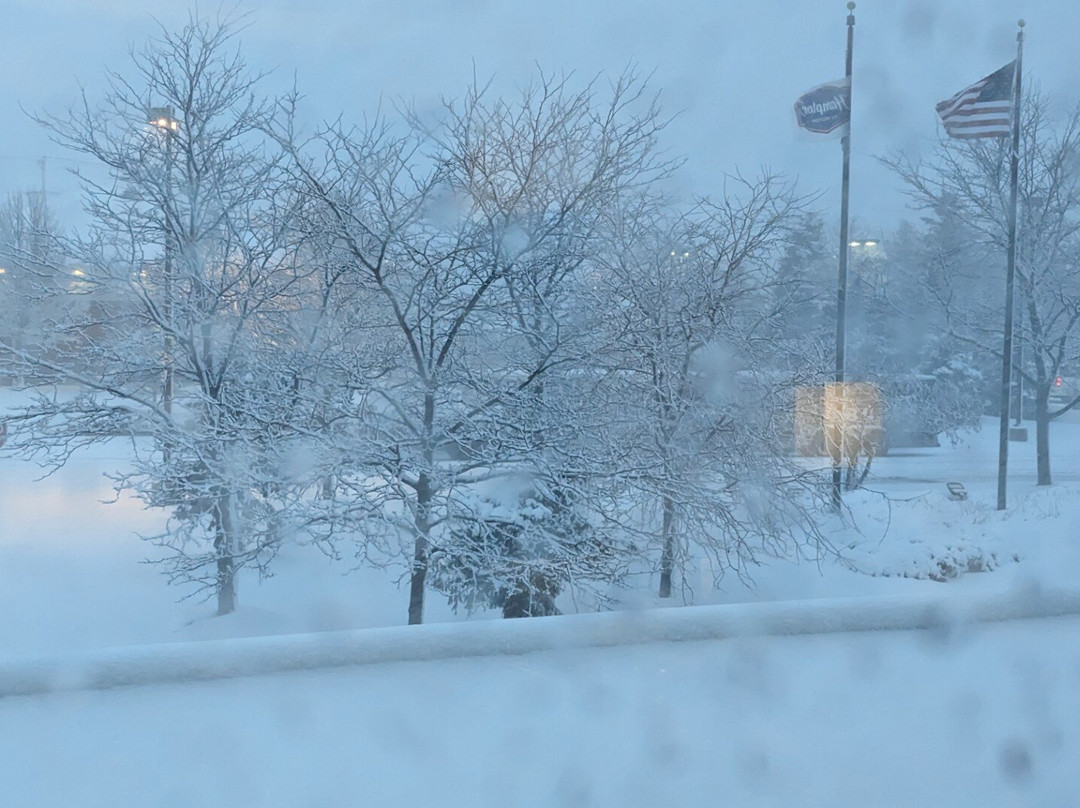 Hampton Inn & Suites Chicago-Libertyville主图