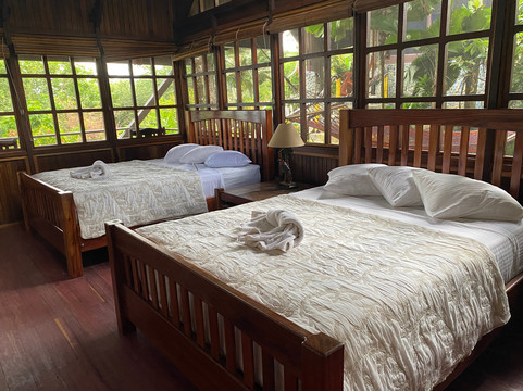 Aguila de Osa Rainforest & Marine Adventure Lodge主图