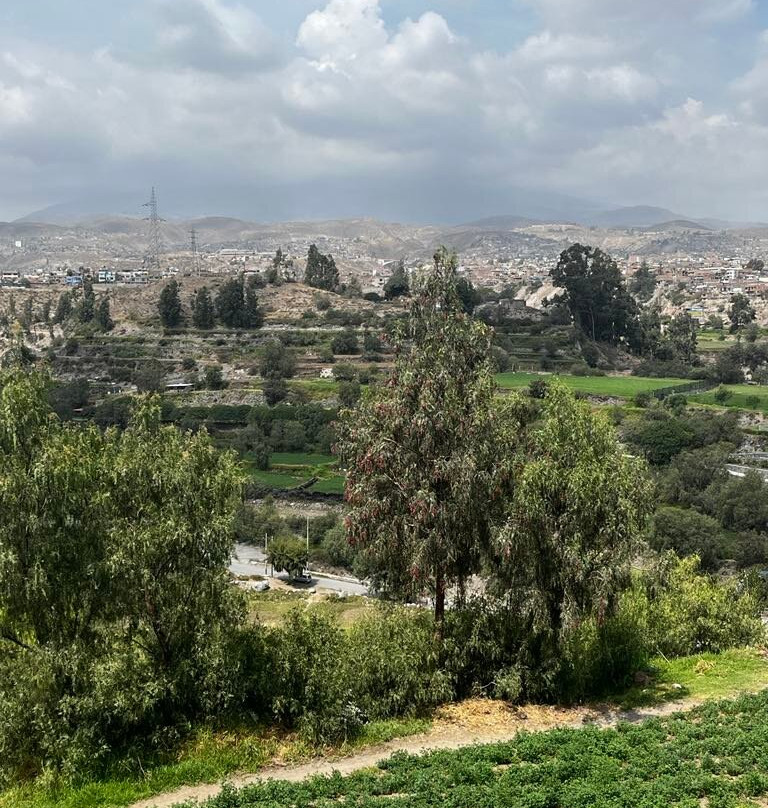 Mirador Carmen Alto-阿雷基帕必去景点