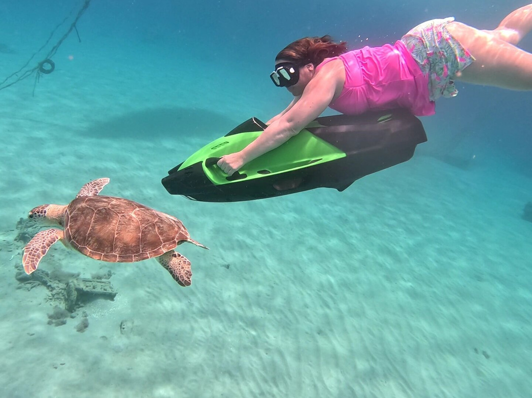 SeaBob Curacao-威廉斯塔德必去景点