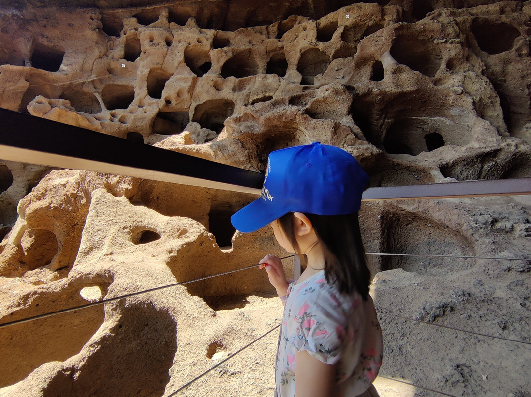 Cenobio De Valeron Yacimiento Arqueologico-大加那利岛拉斯帕尔马斯必去景点