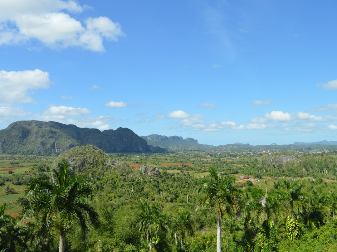 Sunny Vinales Tour-维纳勒斯必去景点