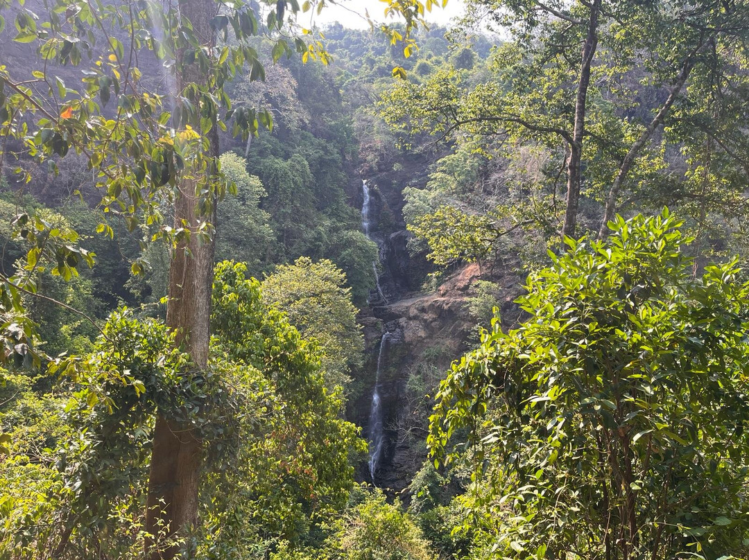 Neturlem Waterfall (Savri)景点图片