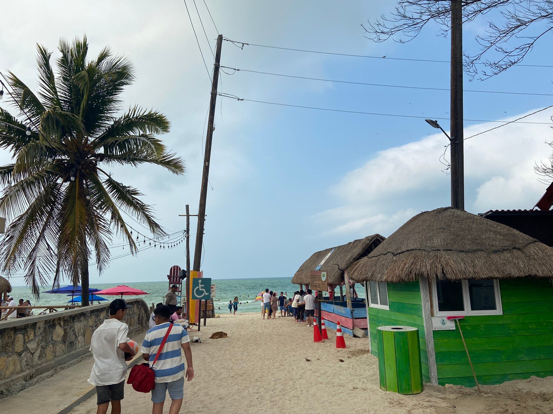 Pig Beach Progreso-Progreso必去景点