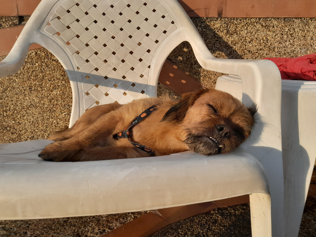 Villeta Resort Hotel主图