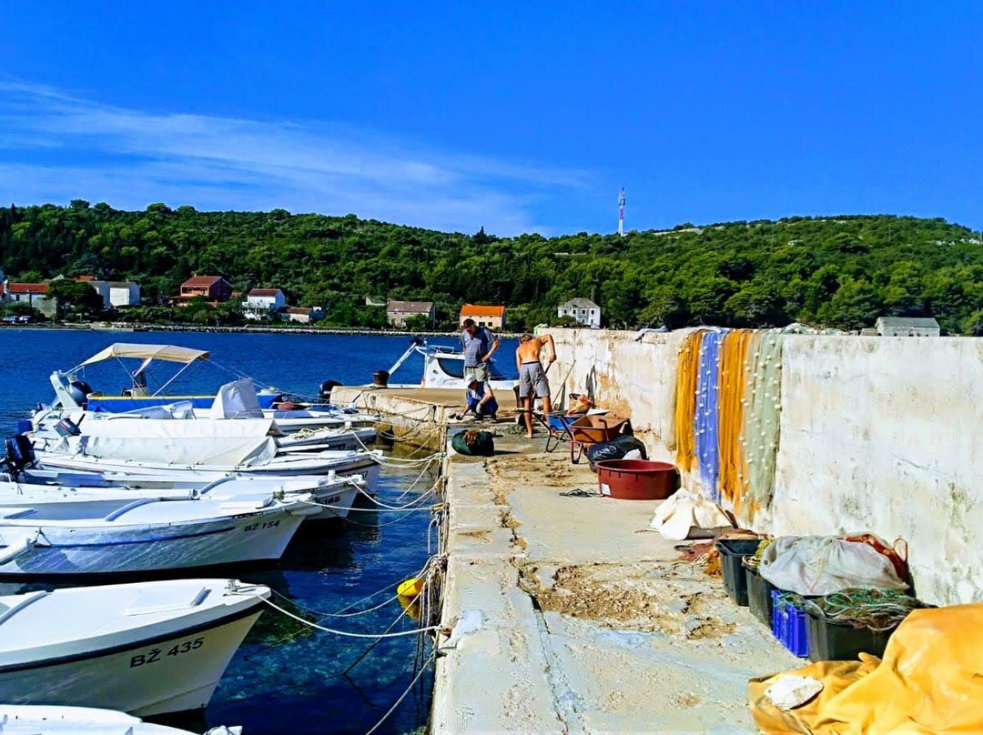 Taxi Adriatic Transfer景点图片