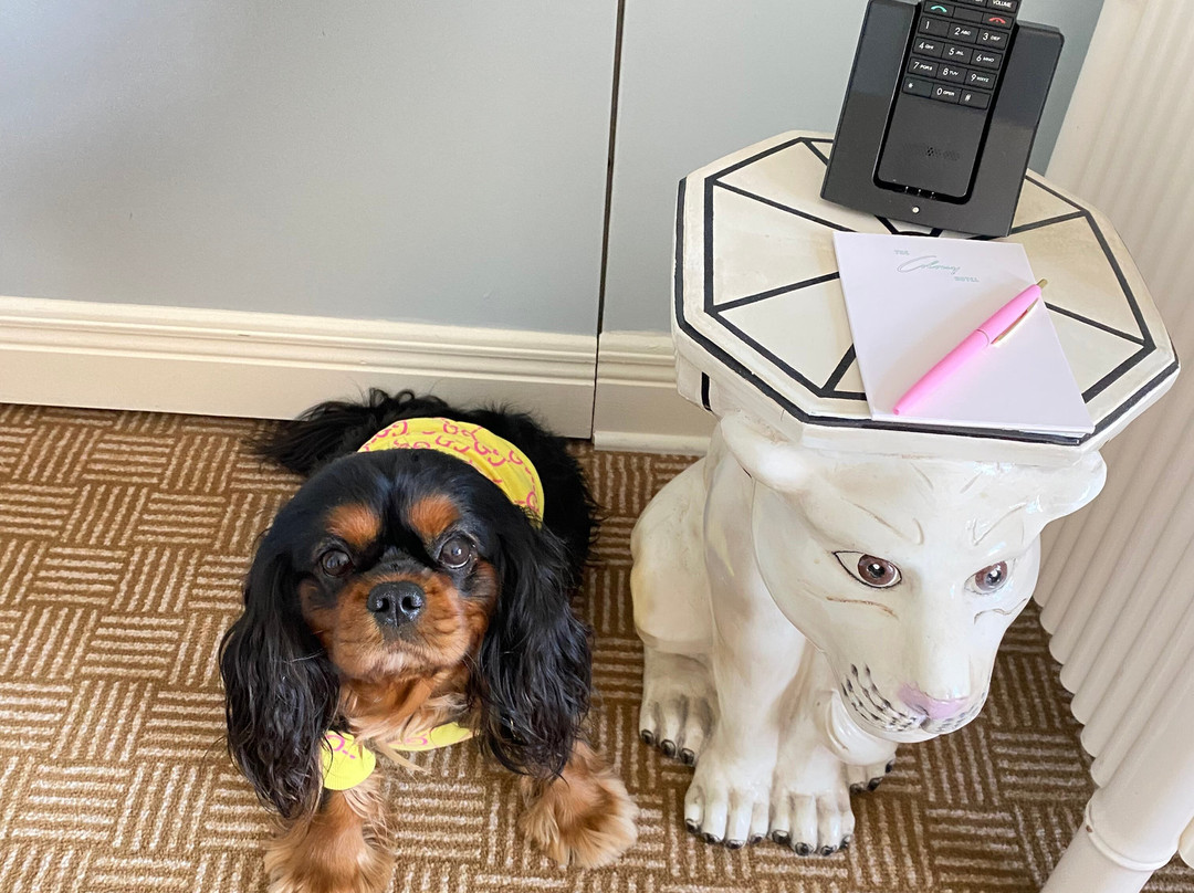 The Colony Hotel主图