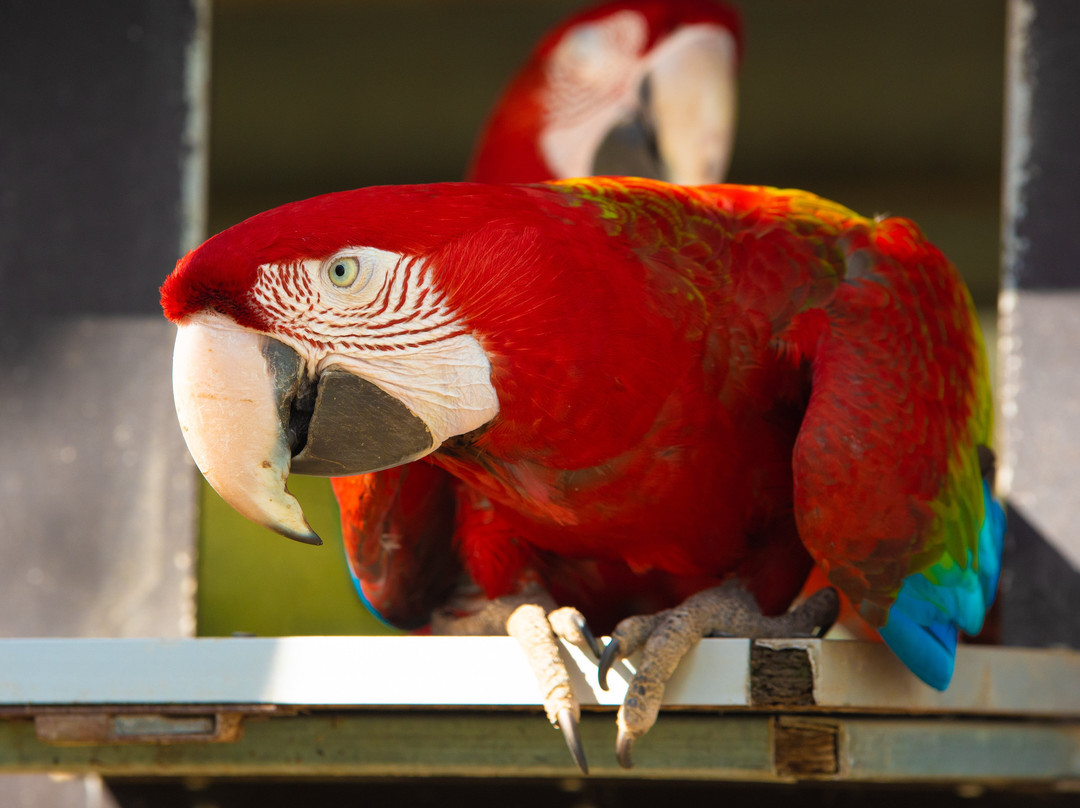 Tierpark Gettorf景点图片