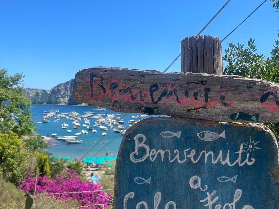 Cala Feola景点图片