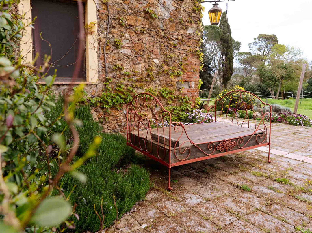 Agriturismo Bio Fattoria Di Pietra主图