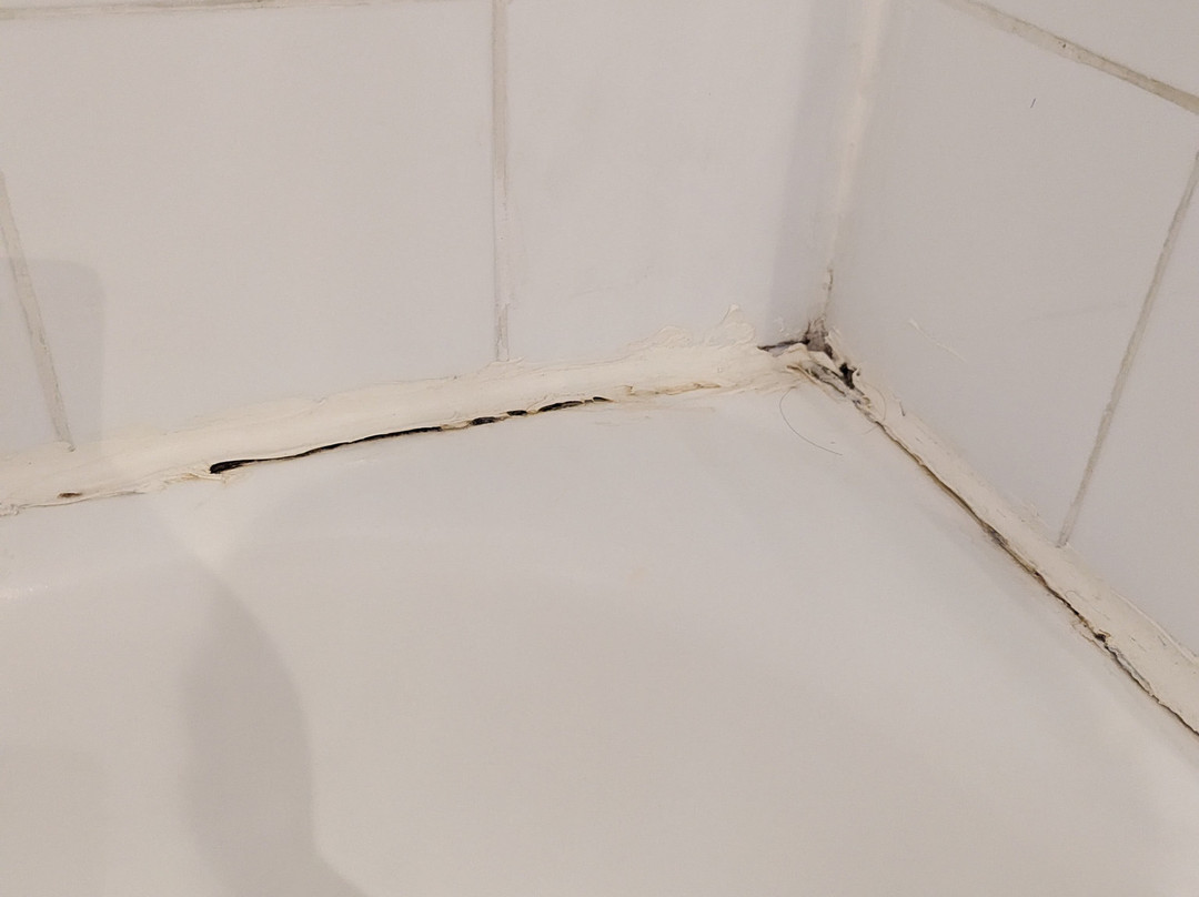 Best Western Plus Cambridge Hotel主图