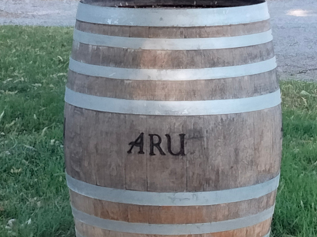 Cantina Aru-Iglesias必去景点