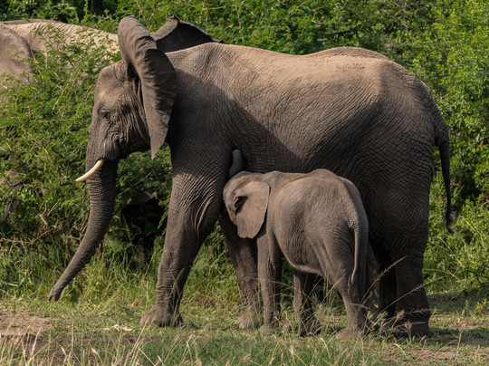 Mwendo Luxury Tours.-卡巴莱必去景点