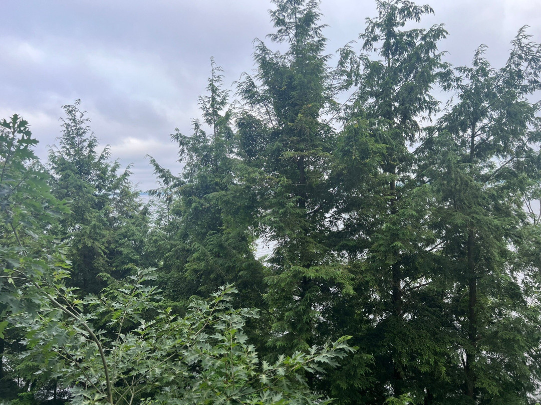 Taboo Muskoka Resort & Golf主图