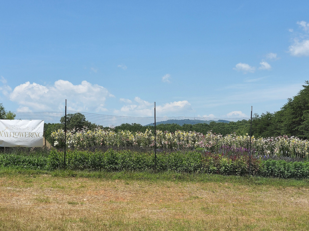 Thistlerock Mead Company-夏洛茨维尔必去景点