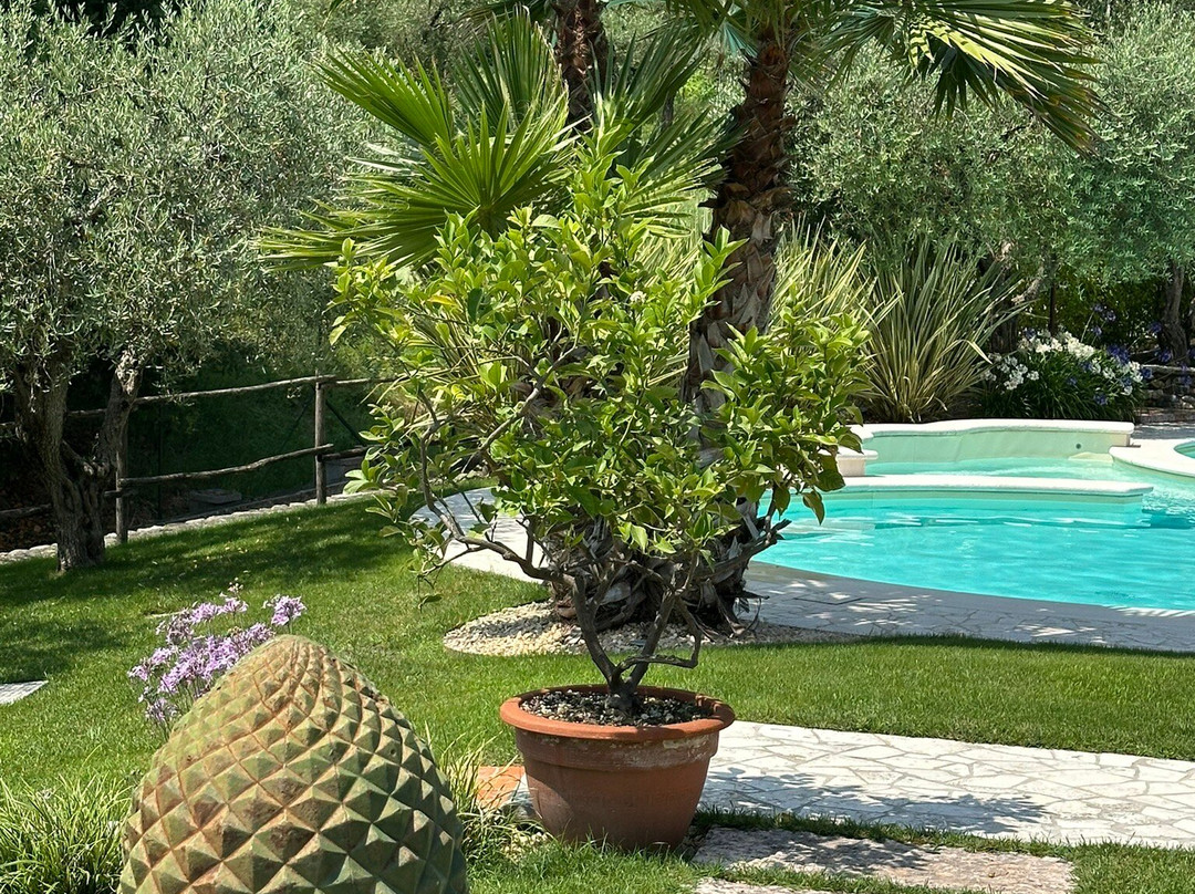 Villa Mario Resort主图