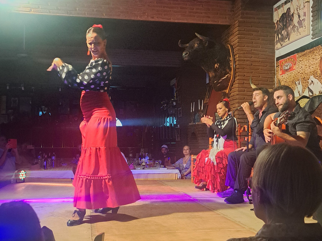 El Cartujano-米哈斯必去景点