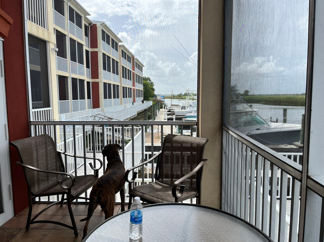 Water Street Hotel & Marina主图