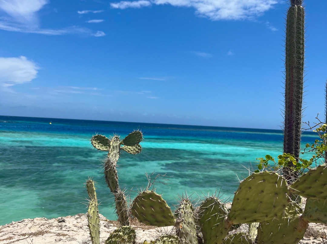 Anaté Beach Apartments主图