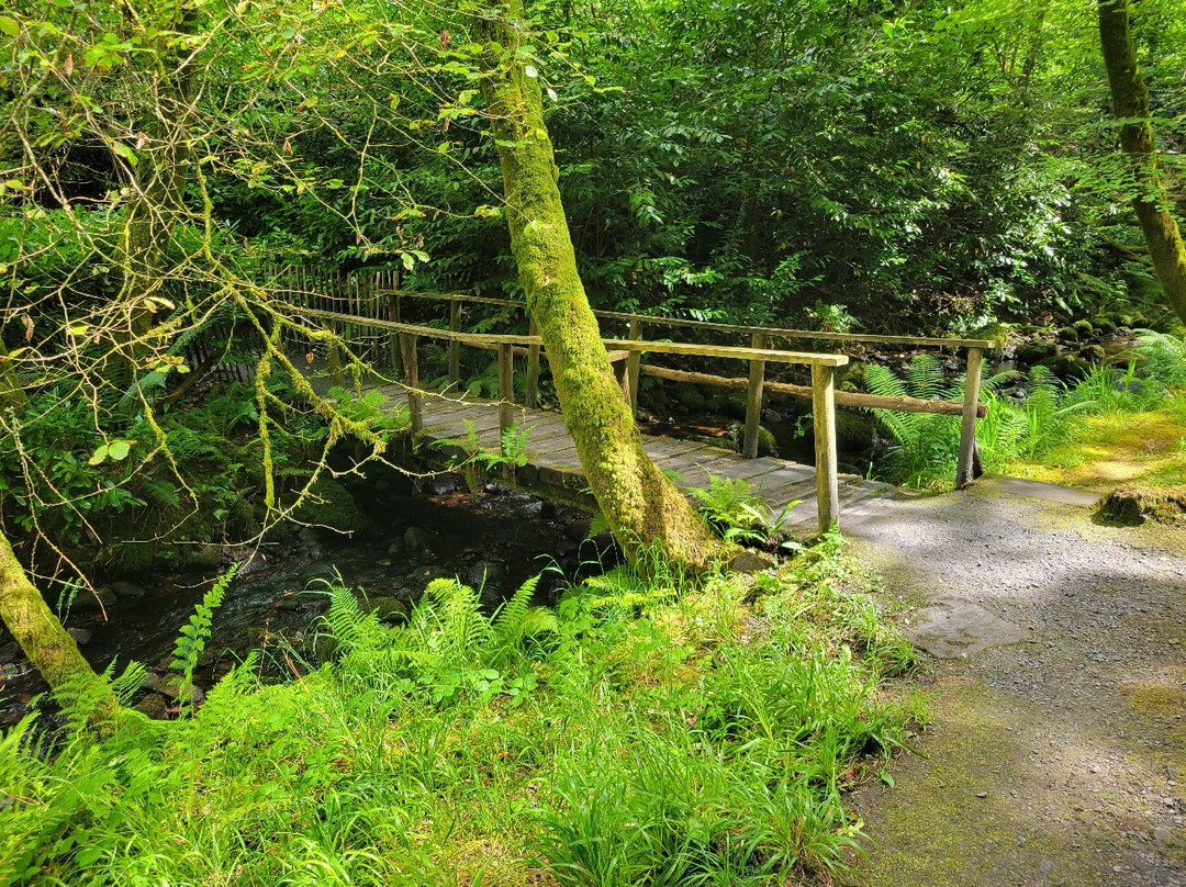 Kilfane Waterfall and Glen-Thomastown必去景点