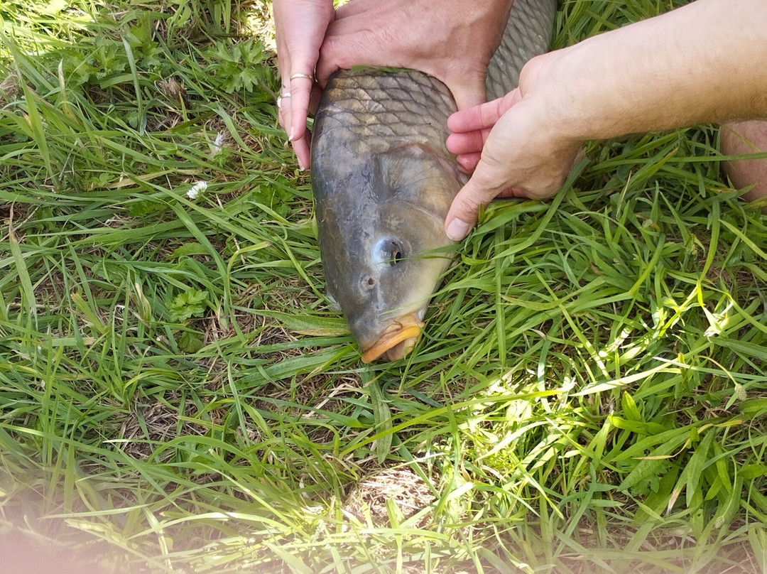 La Belle Lurette主图