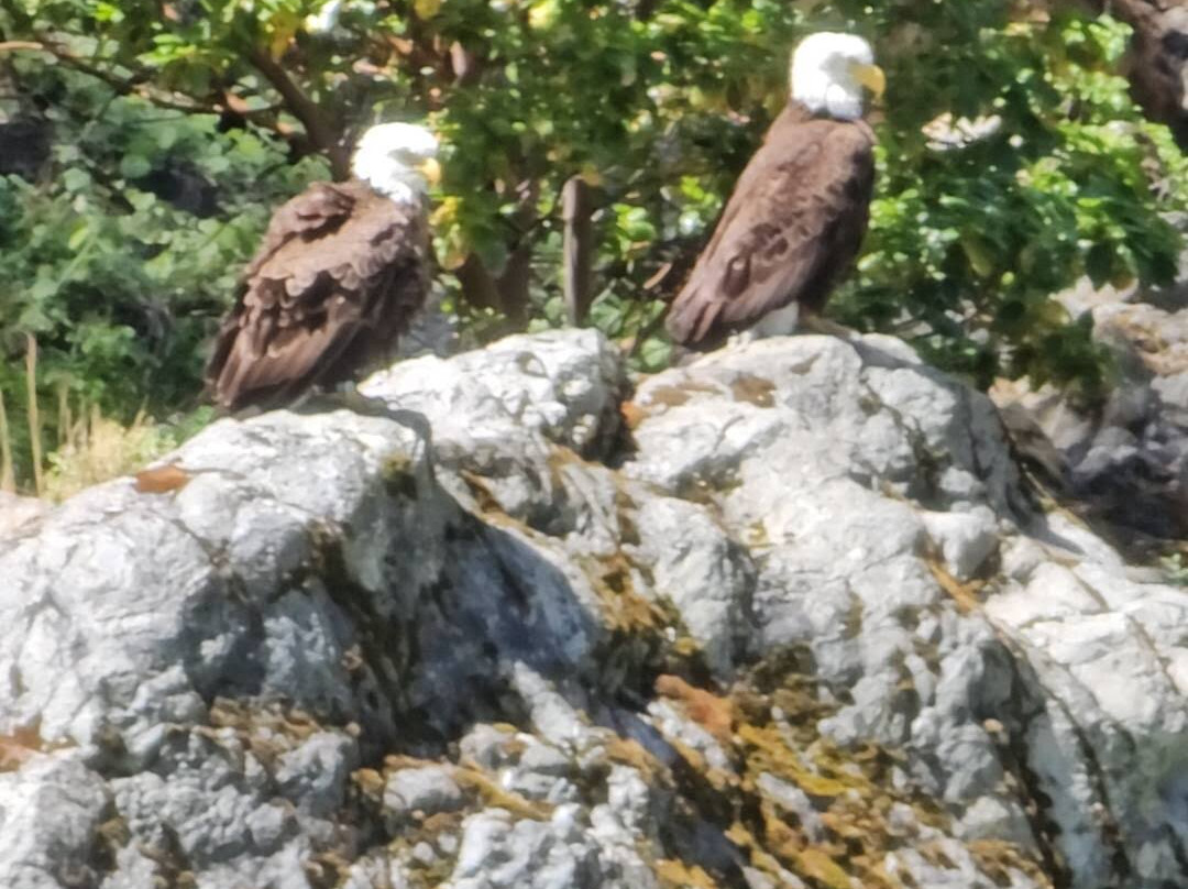 Redwoods and Rivers-Big Bar必去景点